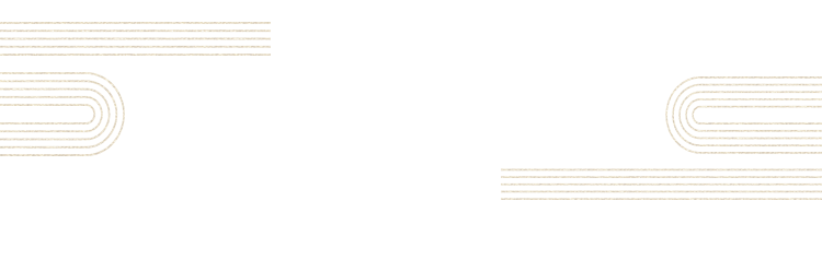 基本情報